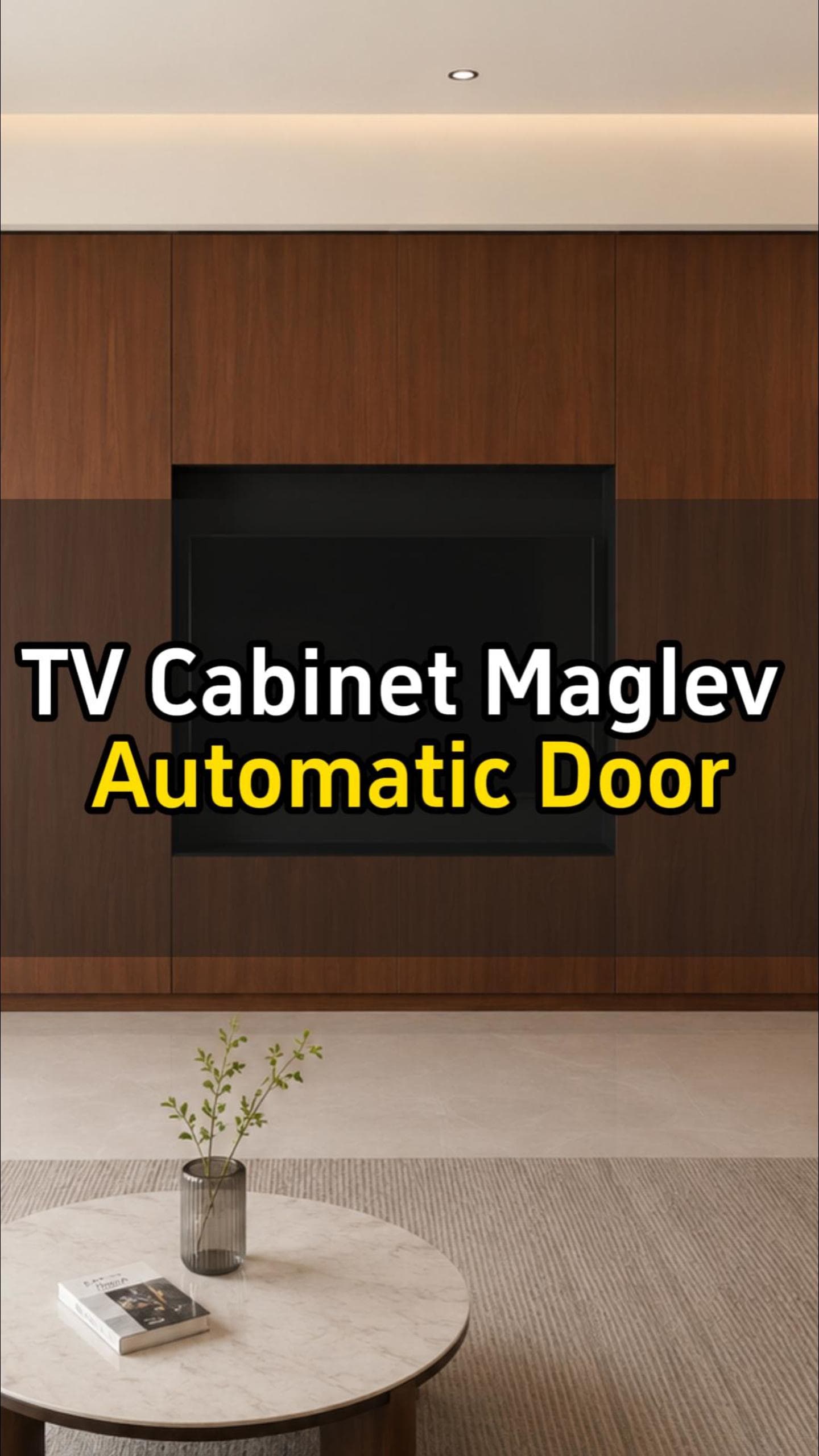 TV cabinet maglev automatic door